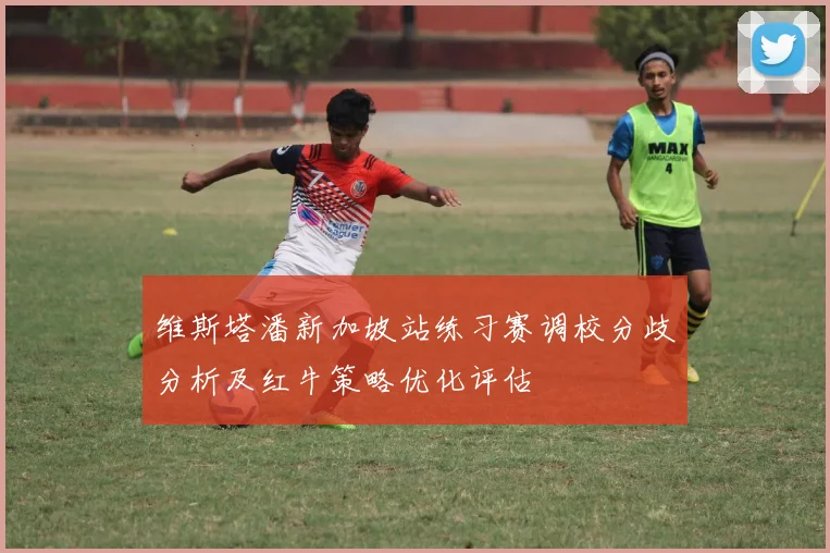 维斯塔潘新加坡站练习赛调校分歧分析及红牛策略优化评估